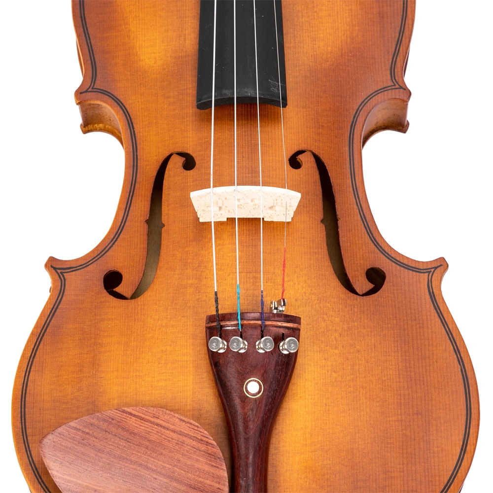 GV103 4/4 Spruce Panel Violin Matte Natural view 16