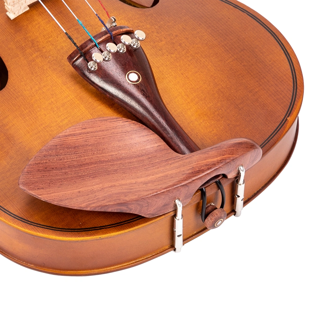 GV103 4/4 Spruce Panel Violin Matte Natural view 21