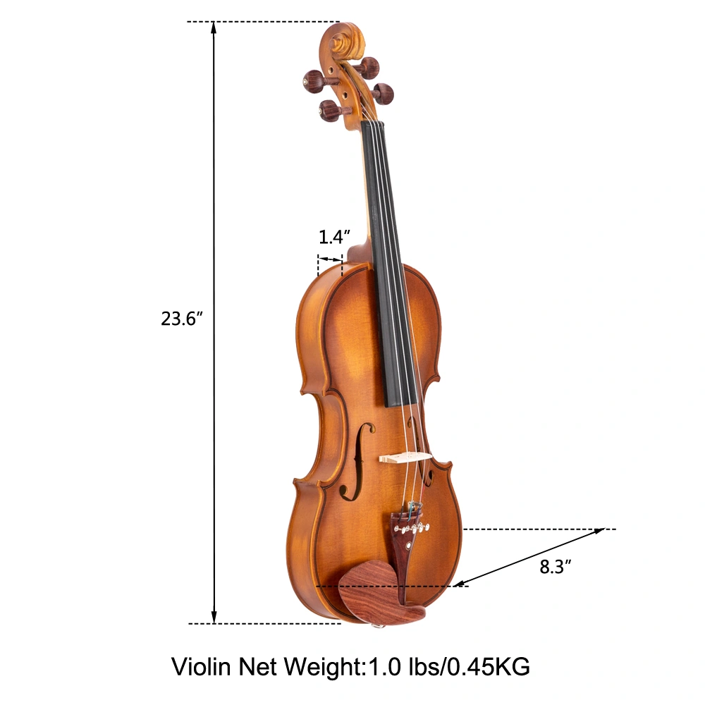 GV103 4/4 Spruce Panel Violin Matte Natural view 29
