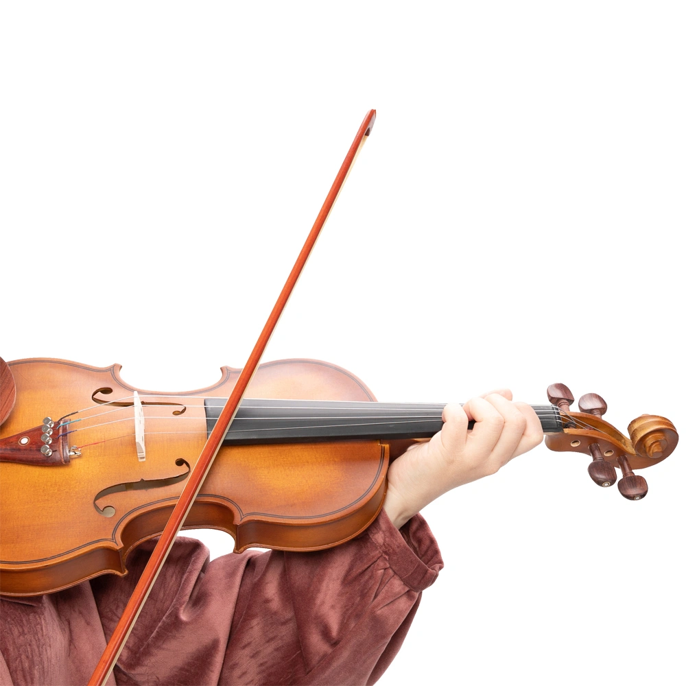 GV103 4/4 Spruce Panel Violin Matte Natural view 30