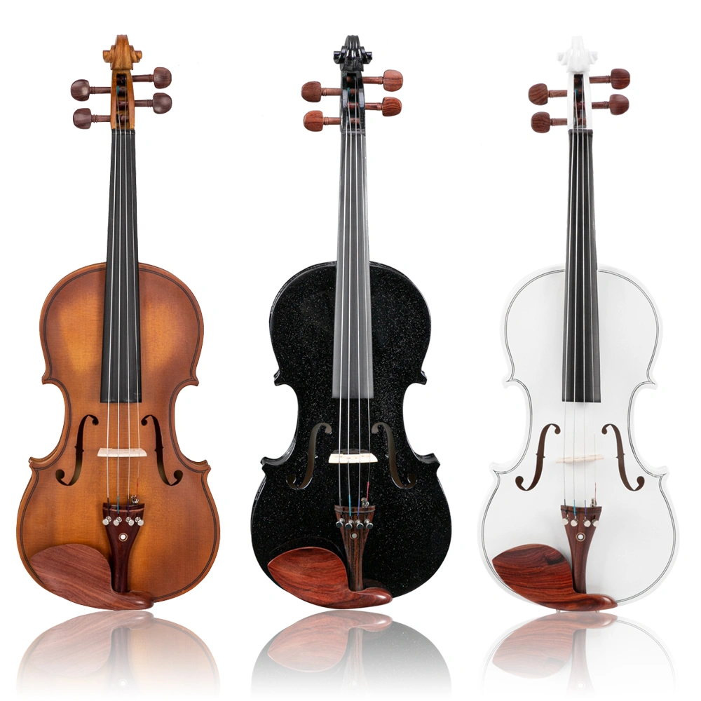 GV103 4/4 Spruce Panel Violin Matte Natural view 33