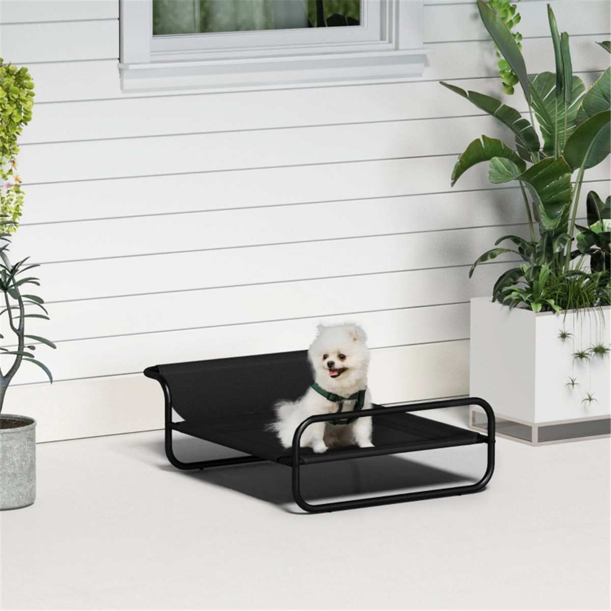 Premium Pet Bed - Soft Orthopedic Dog Cat Bed, Machine Washable, Non-Slip Bottom, Multiple Sizes Available
