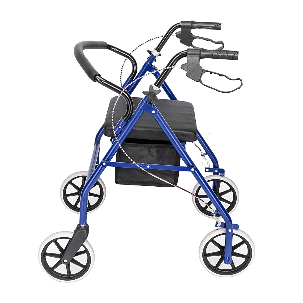 Iron Walking Frame with Wheels - Mobility Aid Walker, Black & Blue