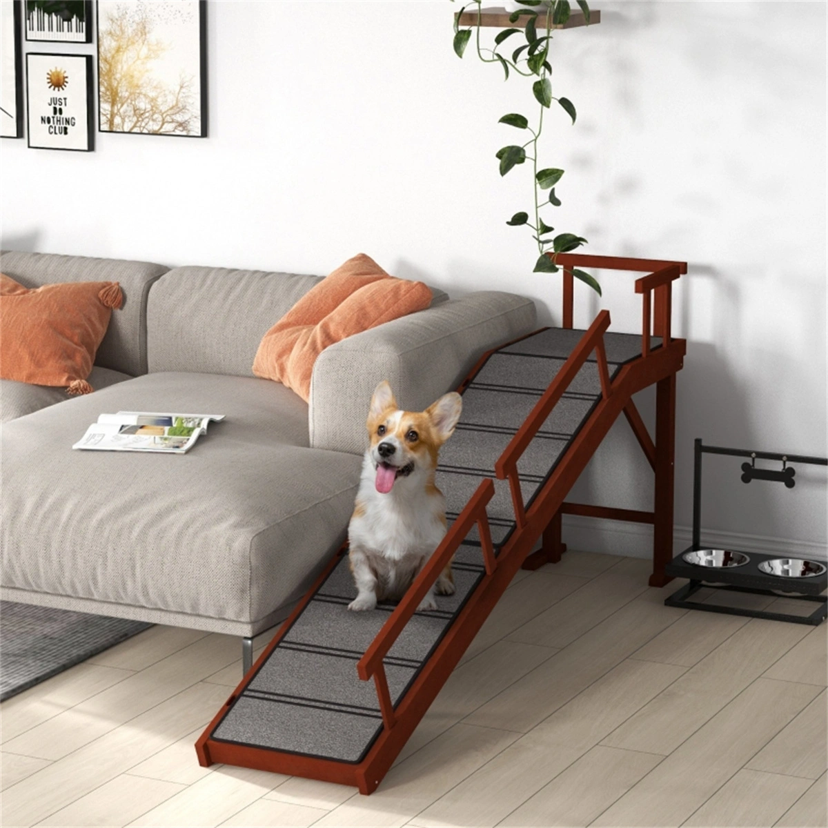 Pet Ramp ( Amazon Shipping)(Prohibited by WalMart) view 4