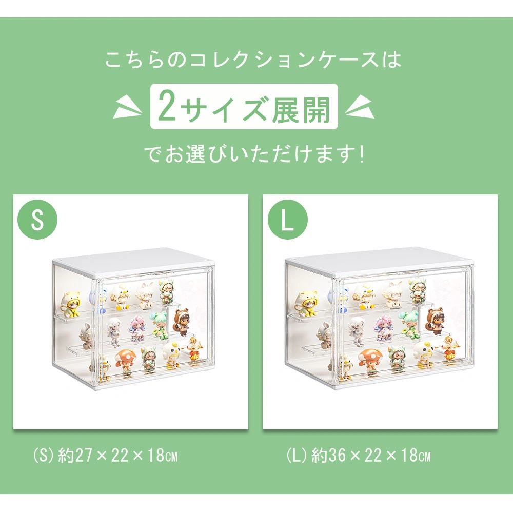 コレクションケース S view 2