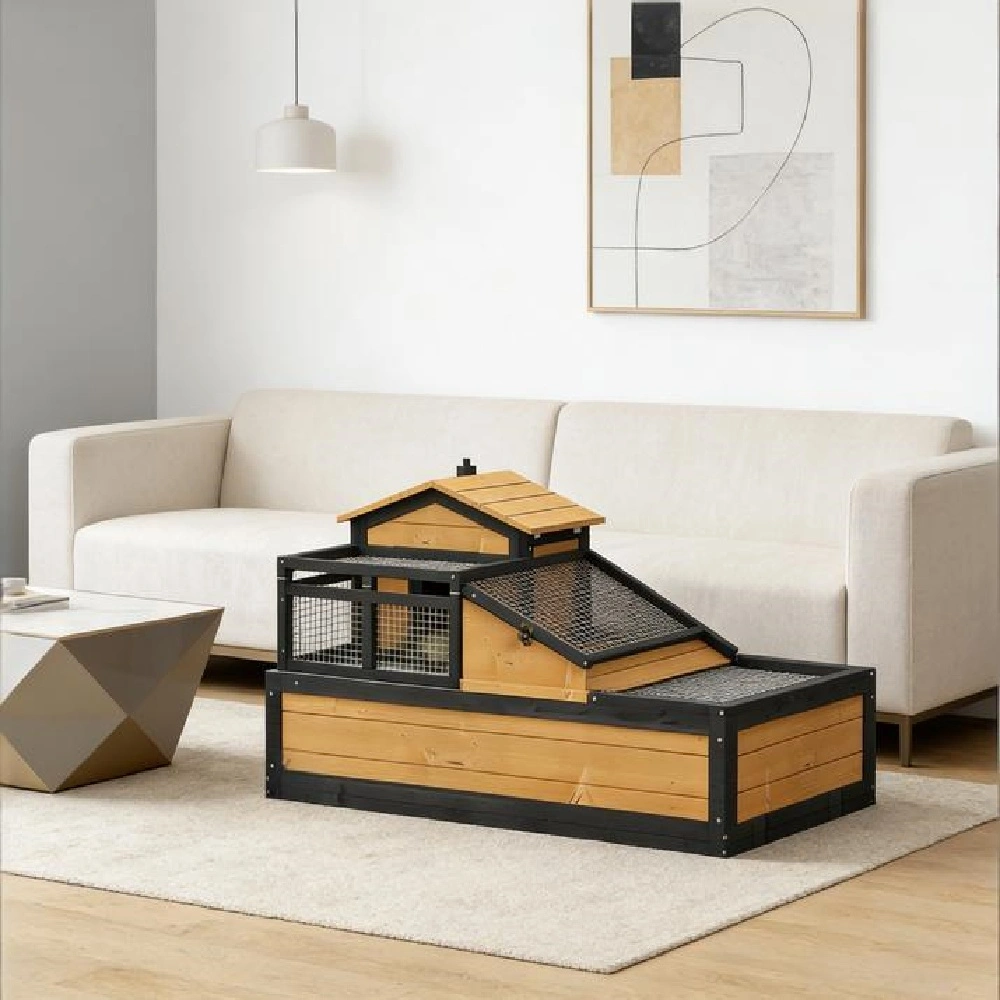 Turtle Cage/ Tortoise House
