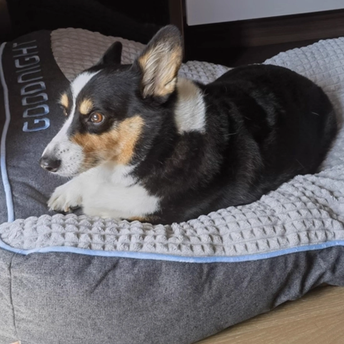 Cozy Pet Sofa Bed with Rope Chew Toy - Warm Winter Dog Mat 60x47x18cm view 3
