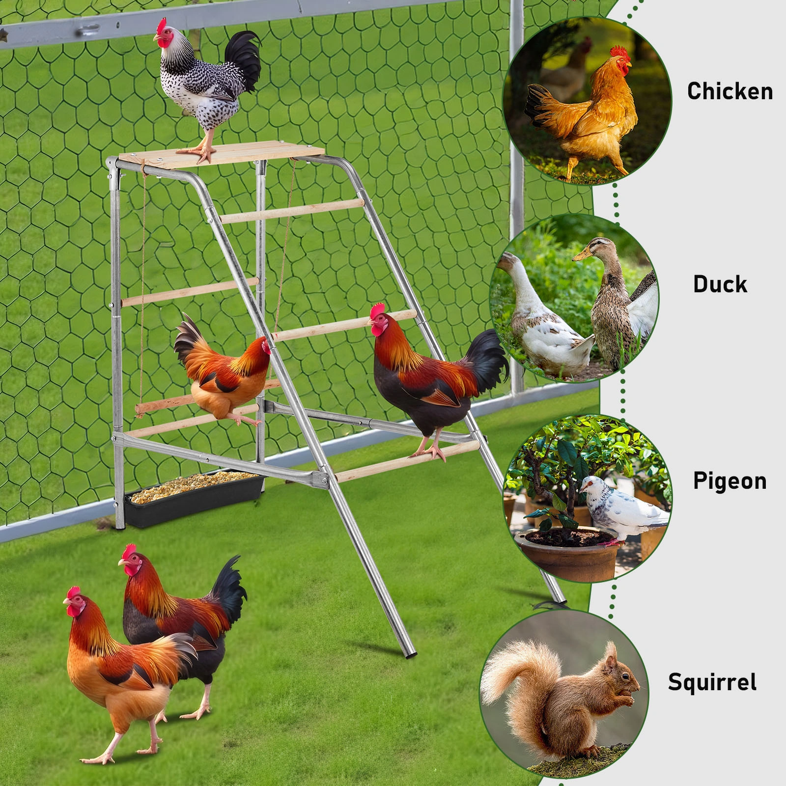 103*50*100cm Outdoor chicken perch view 10