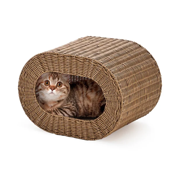 Handwoven Cat Cave House - Indoor Kitten Bed with Double-Sided Seasonal Mats, Sturdy Pet House for Multiple Cats, Suitable for Living Room & Bedroom