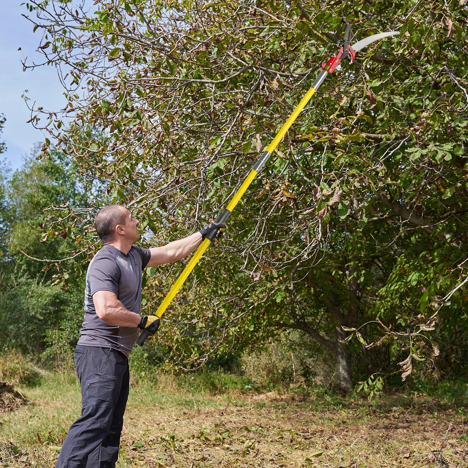 26ft Manual Pole Saw, Lightweight Tree Trimmers Long Handle Pruner Set, Sharp Steel Blade and Scissors Pole Saw for Trimming Palm, Pear Tree, Fir Tree, Other High Trees and Shrubs view 12