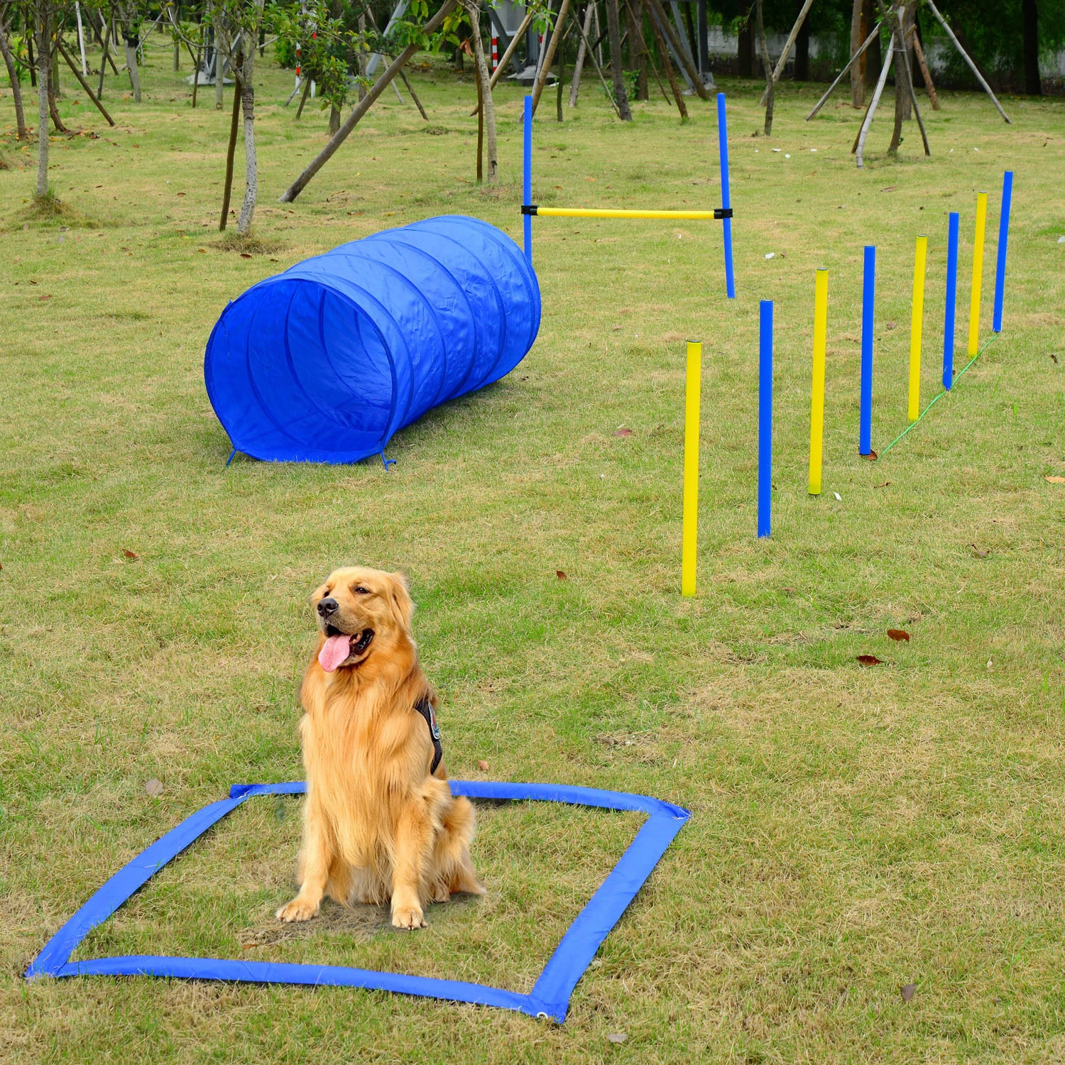 Dog Agility Training Equipment Cone & Hurdle Set for Puppies & Large Dogs Outdoor Sport