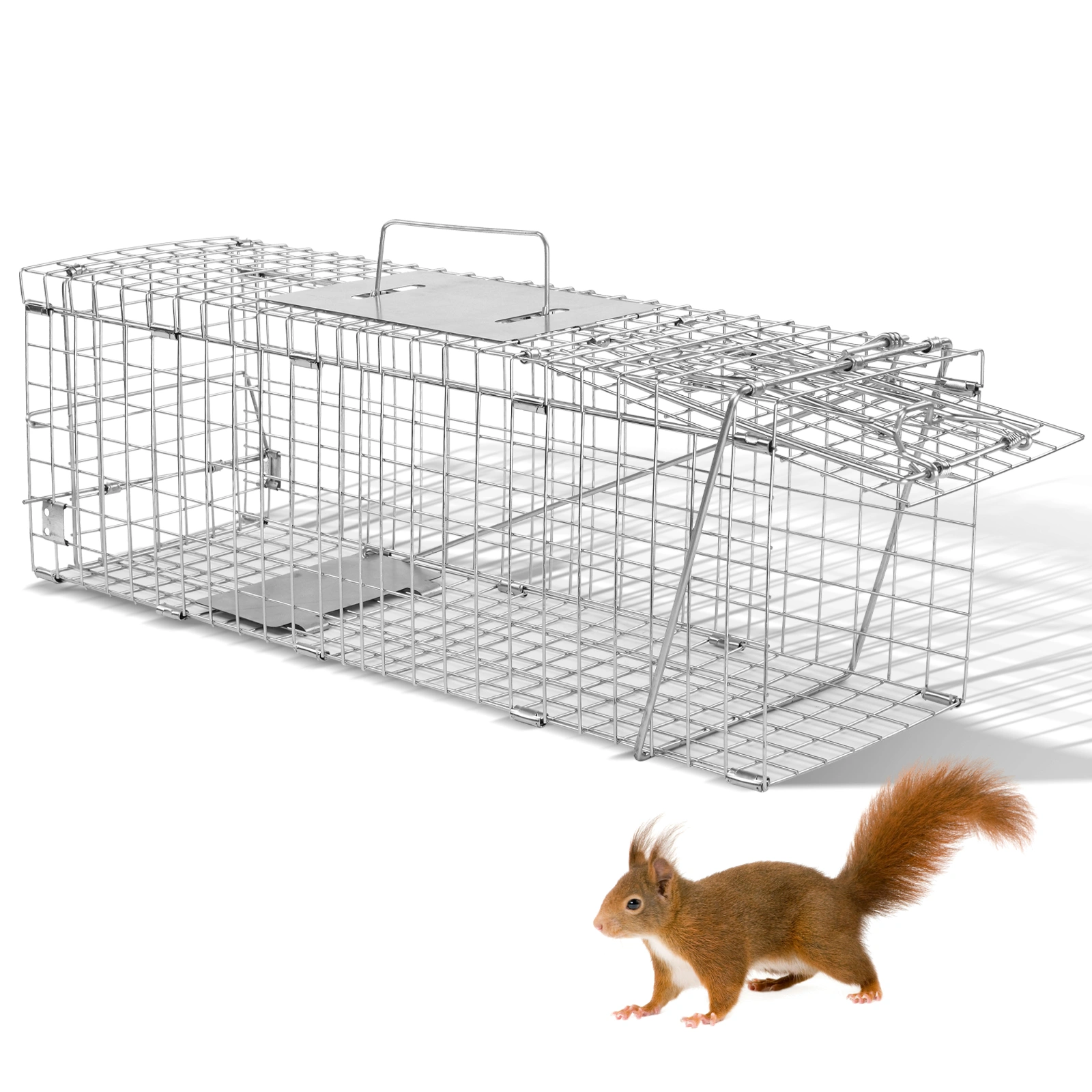24" Live Animal Cage Trap Heavy Duty Folding Humane Cat Trap with Handle for Raccoons Rabbits Squirrels Skunks Mole Groundhogs Opossums