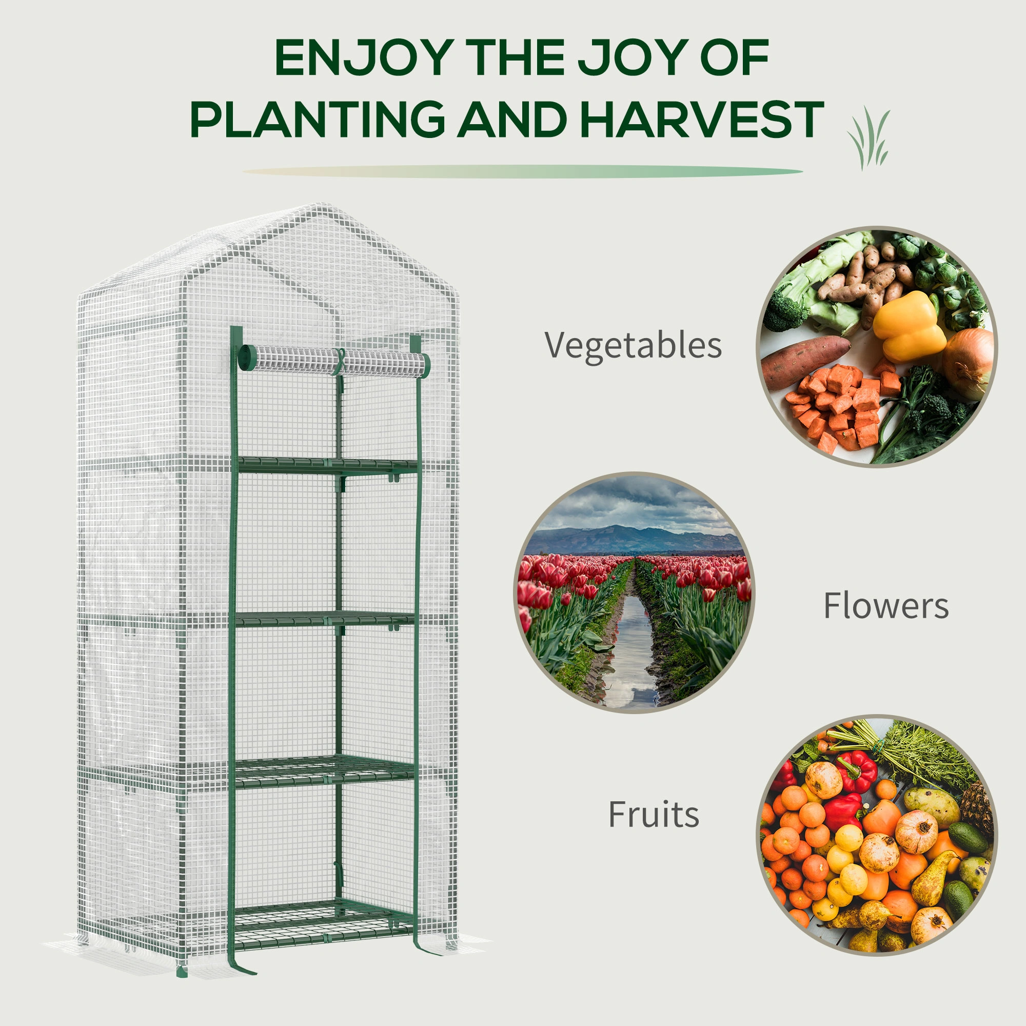 Mini Greenhouse Plant Propagator Dome with Thermometer - Portable Cloche Cover for Seed Starting, Gardening & Plant Protection view 2