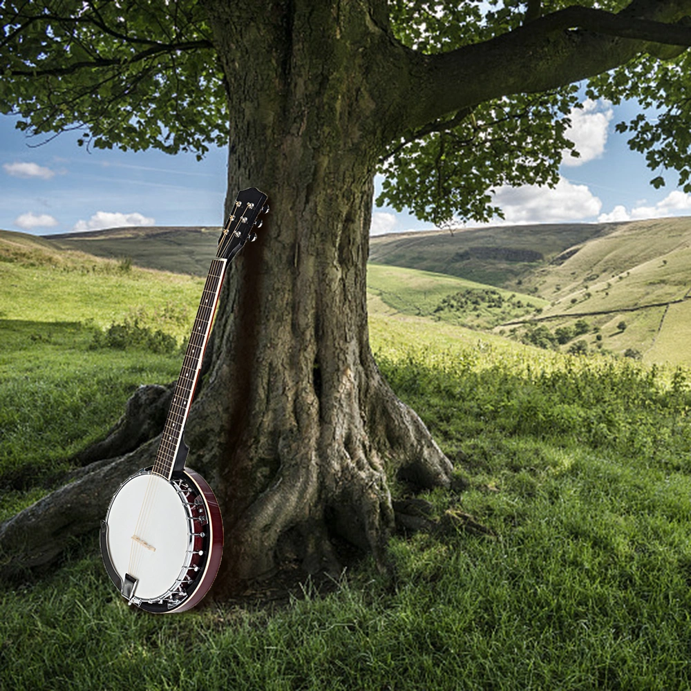 Top Grade Exquisite Professional Sapelli Notopleura Wood Alloy 6-string Banjo view 16