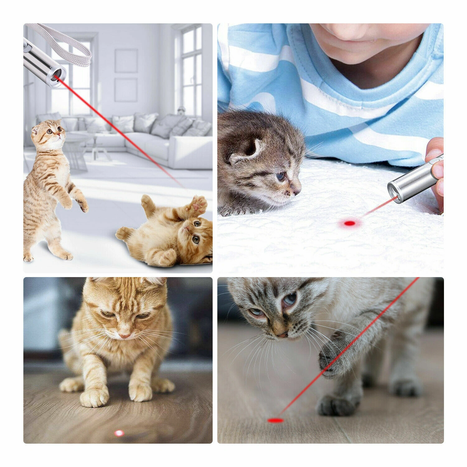 2PCS 3 in1 1mw USB Rechargeable Pet Toy Pen Flashlight Red laser Beam UV Light 3-Modes Lamp view 9