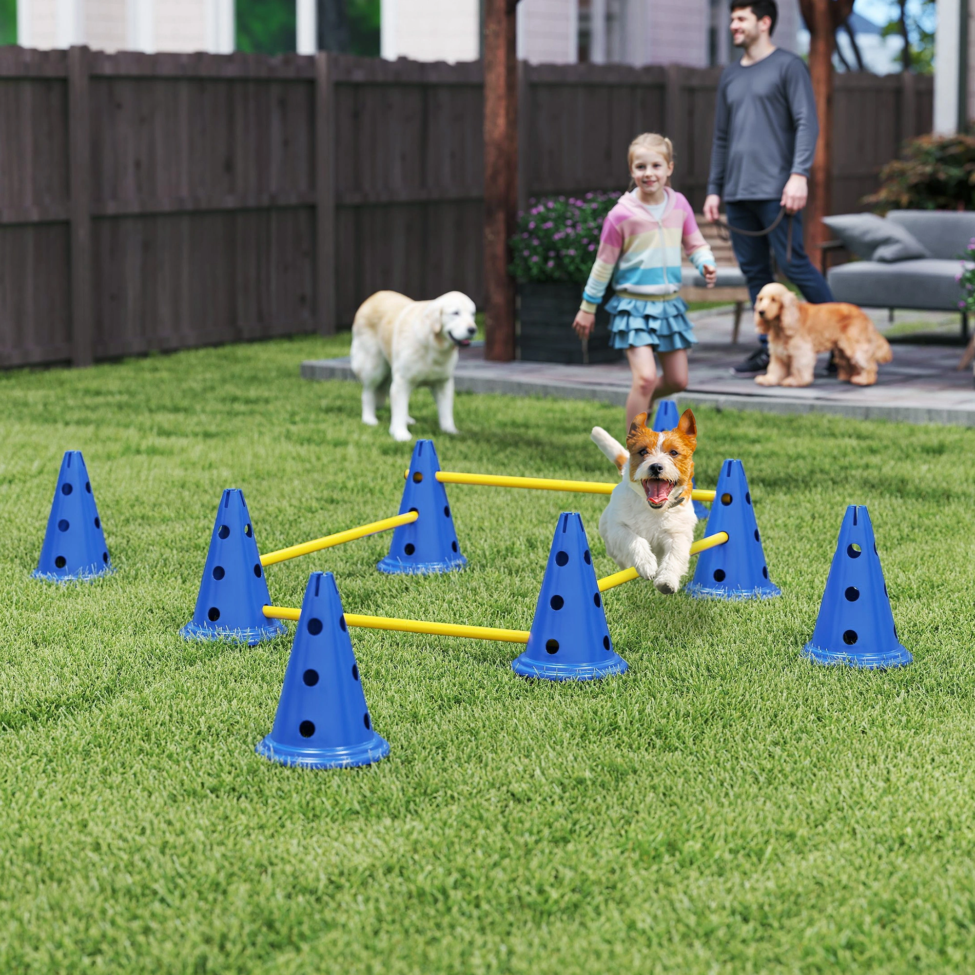 Dog Agility Training Cones Set of 8 - Orange Reflective Markers view 4