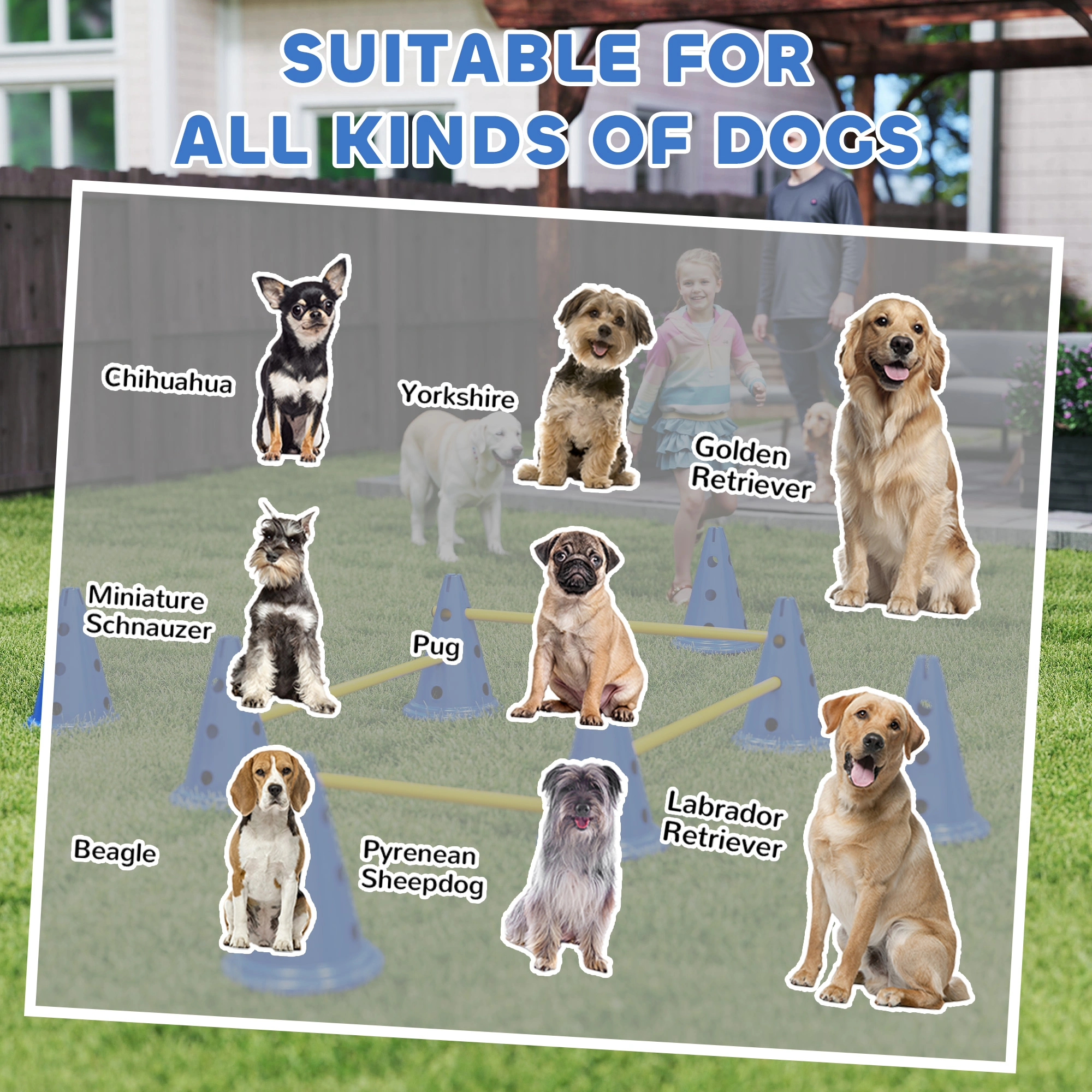 Dog Agility Training Cones Set of 8 - Orange Reflective Markers view 5