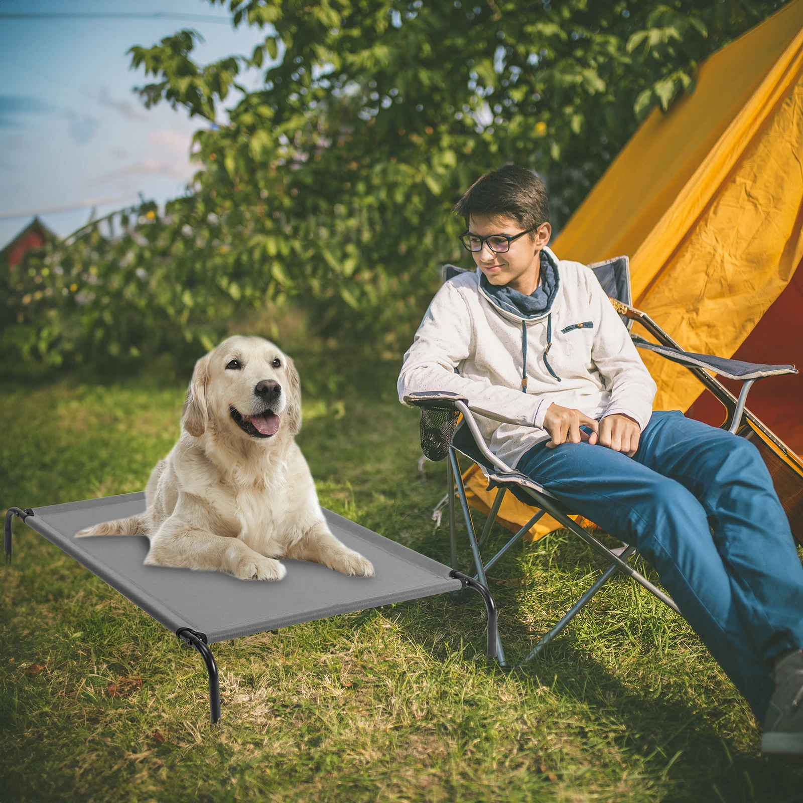 50"D x 31"W x 8"H Dog Bed view 17