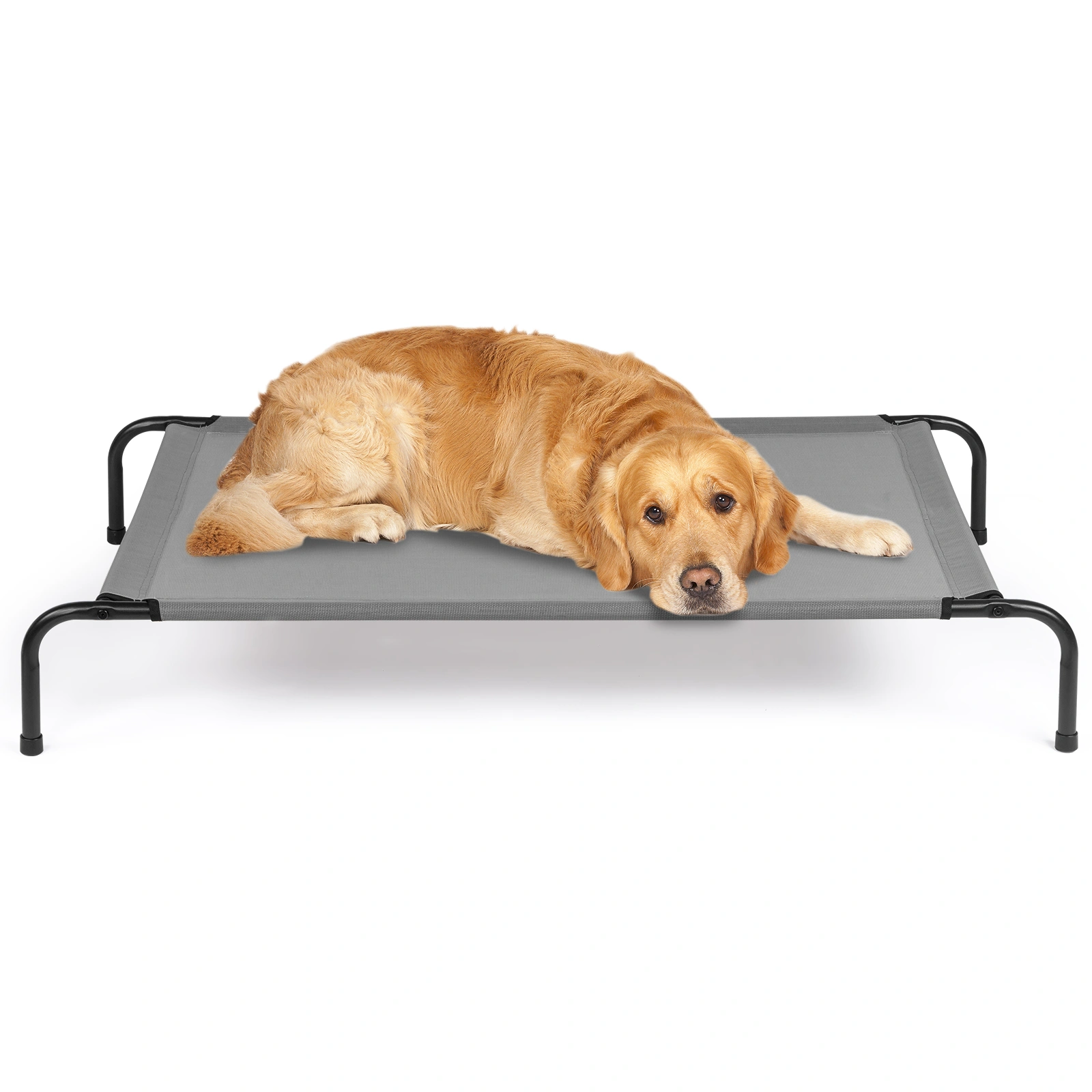 50"D x 31"W x 8"H Dog Bed view 24