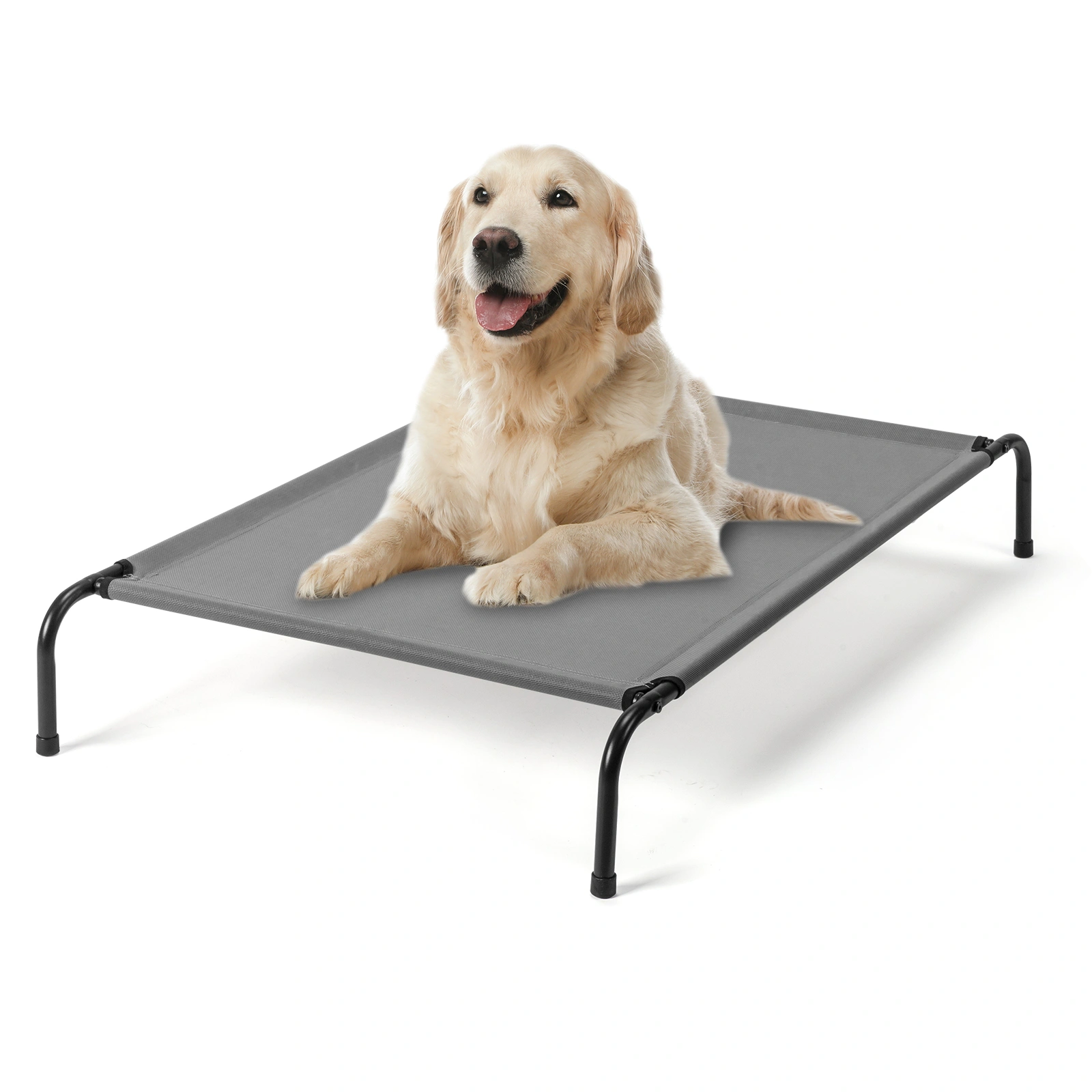 50"D x 31"W x 8"H Dog Bed view 25