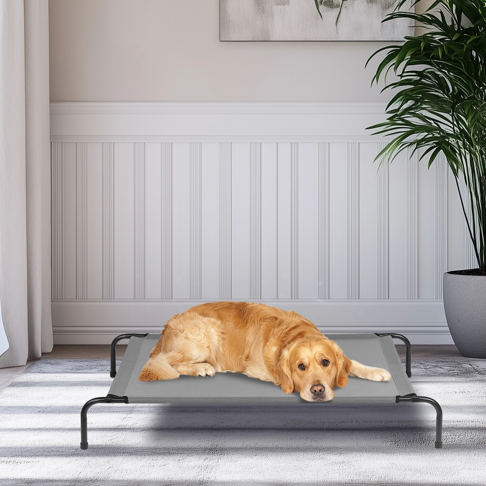 50"D x 31"W x 8"H Dog Bed view 4