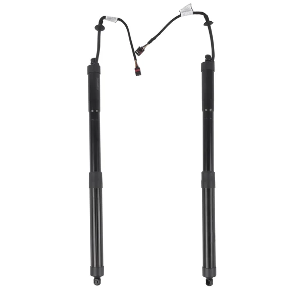 Set of 2 Rear Left and Right Tailgate Lift Support Fit for Kia Sedona Van 3.3L V6 2015-2021 Black