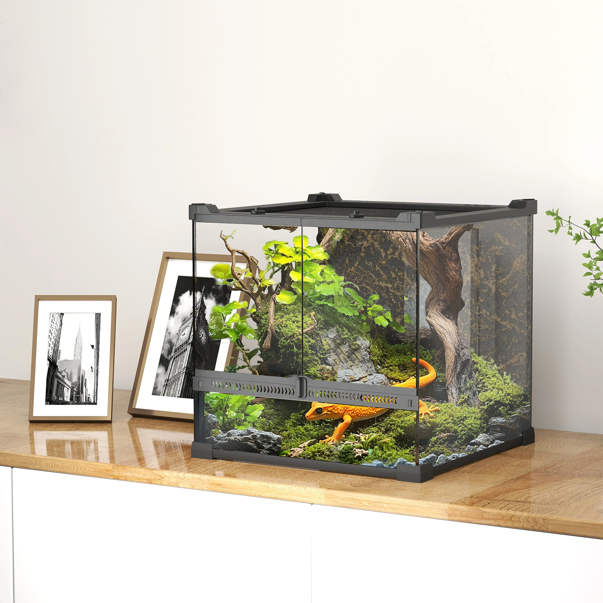 Reptile Glass Terrace - Ventilated Glass Terrarium Enclosure Habitat for Snakes, Lizards, Herpetology