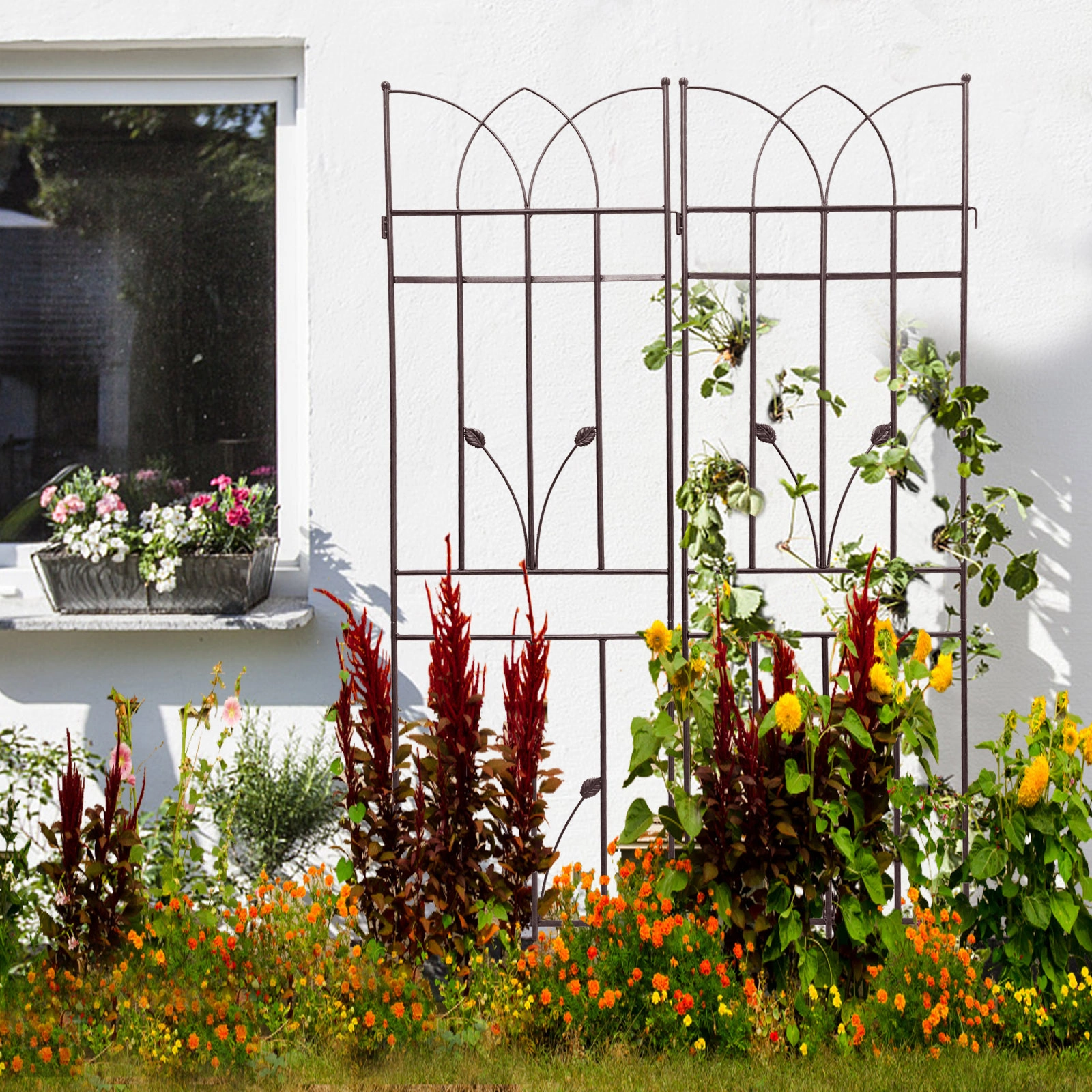 4 Pack Metal Garden Trellis 71" x