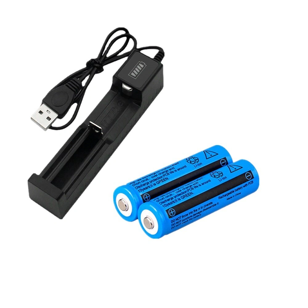 2pcs 18650 3000mAh Rechargeable Battery 3.7V for Fashlight Headlamp with 1x USB Battery Charger Bundle view 4