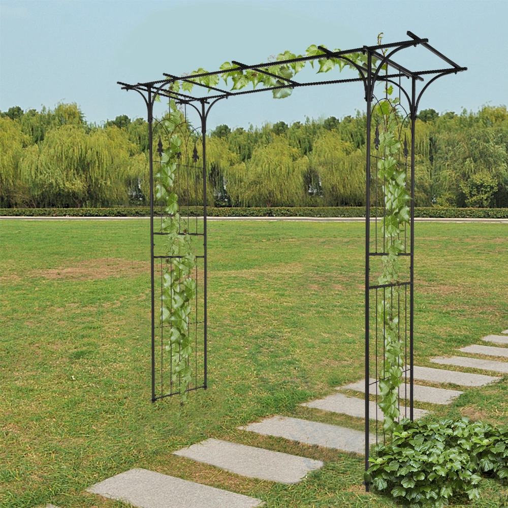 Flat Roof Wrought Iron Arches Plant Climbing Frame view 22