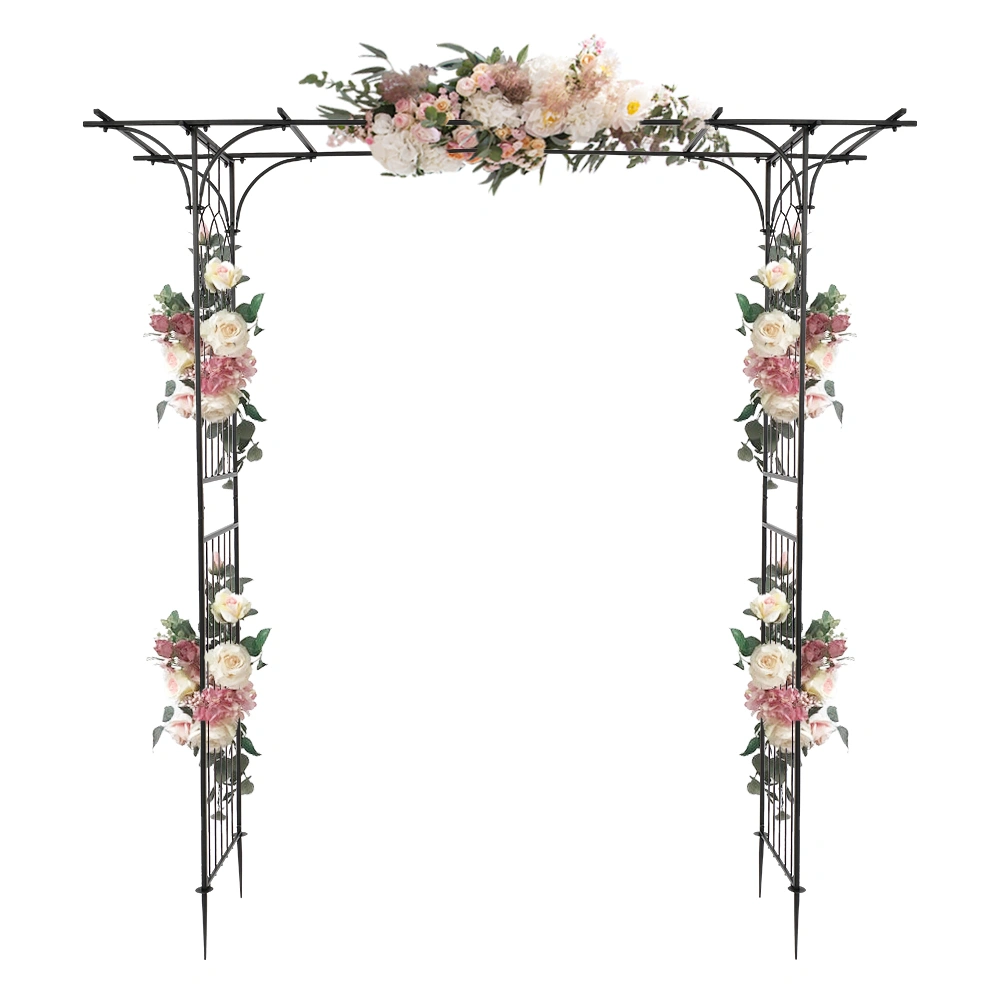 Flat Roof Wrought Iron Arches Plant Climbing Frame view 27