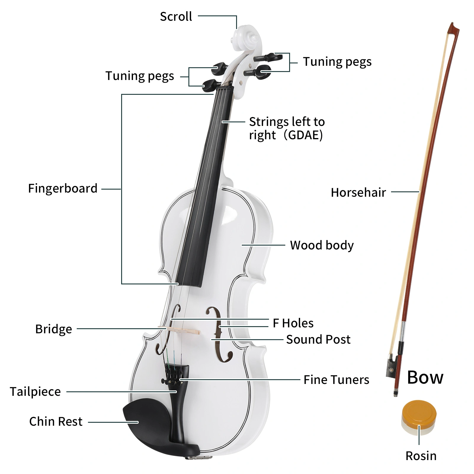 Size 4/4 Violin Set for Adults Beginners Students with Hard Case,Violin Bow,Shoulder Rest,Rosin,Extra Strings and Sordine view 4