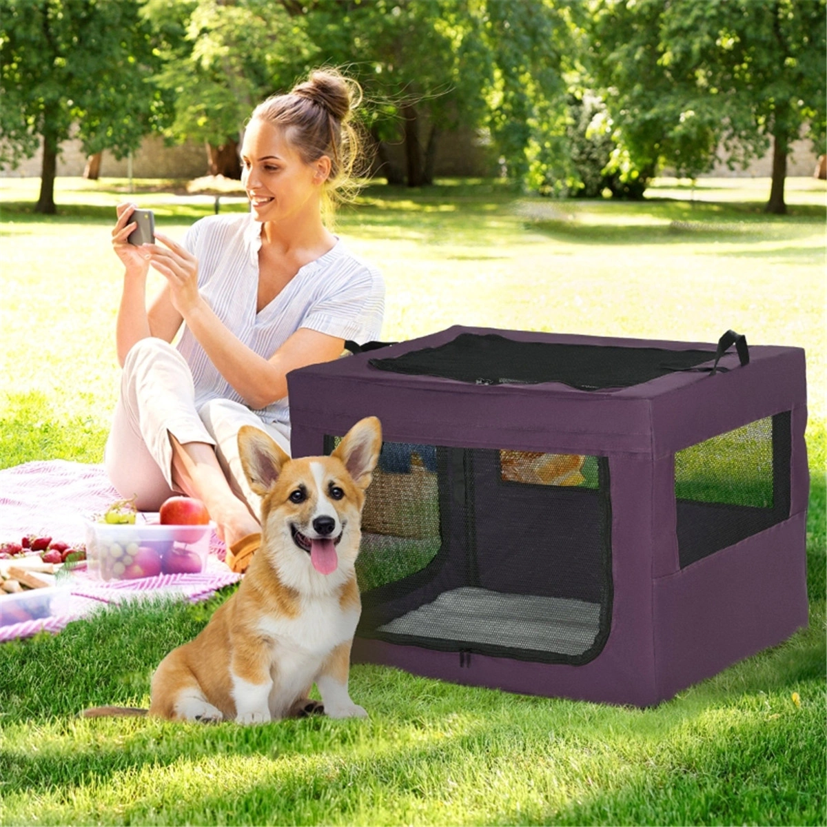 Soft-Sided Pet Carrier Bag, 18" Travel Cat Dog Crate with Removable Mattress, Airline Approved, Black, Lightweight Collapsible for Small Pets