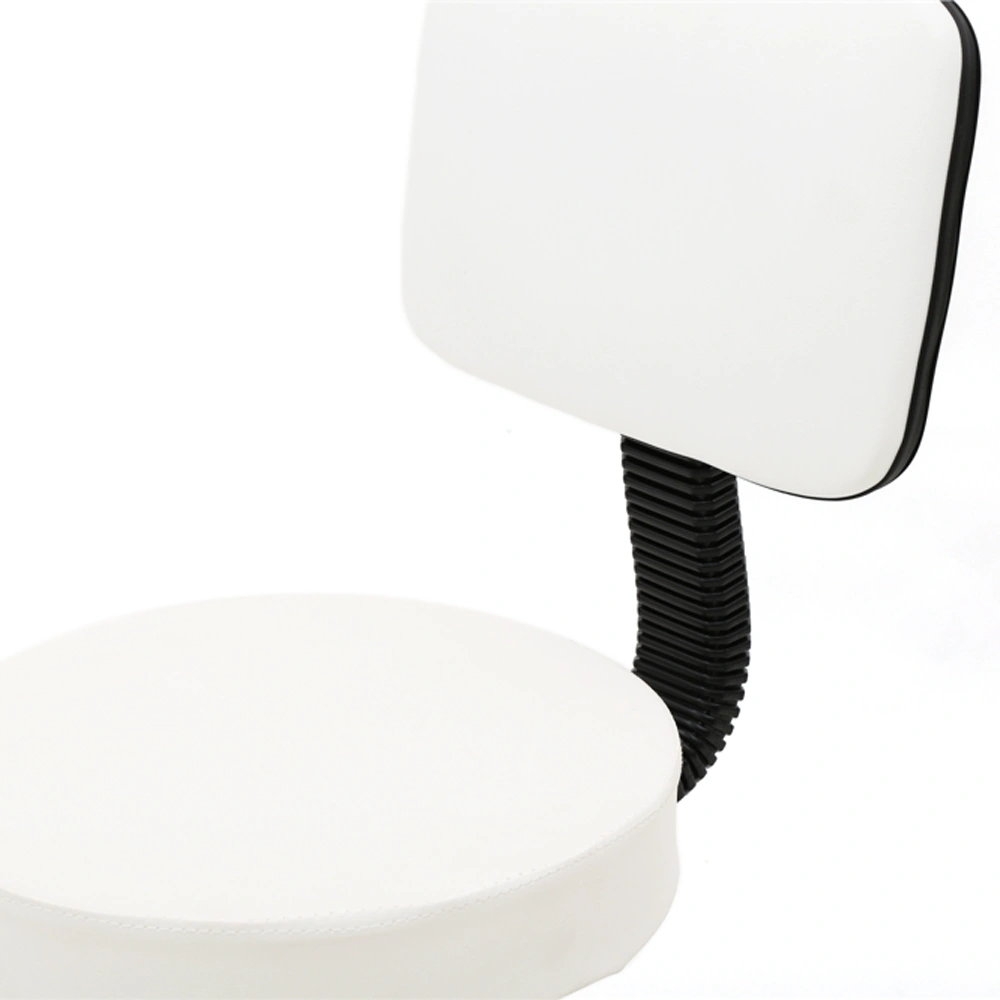 Adjustable Round Salon Stool with Backrest, Height-Adjustable Hairdresser Chair, White view 3