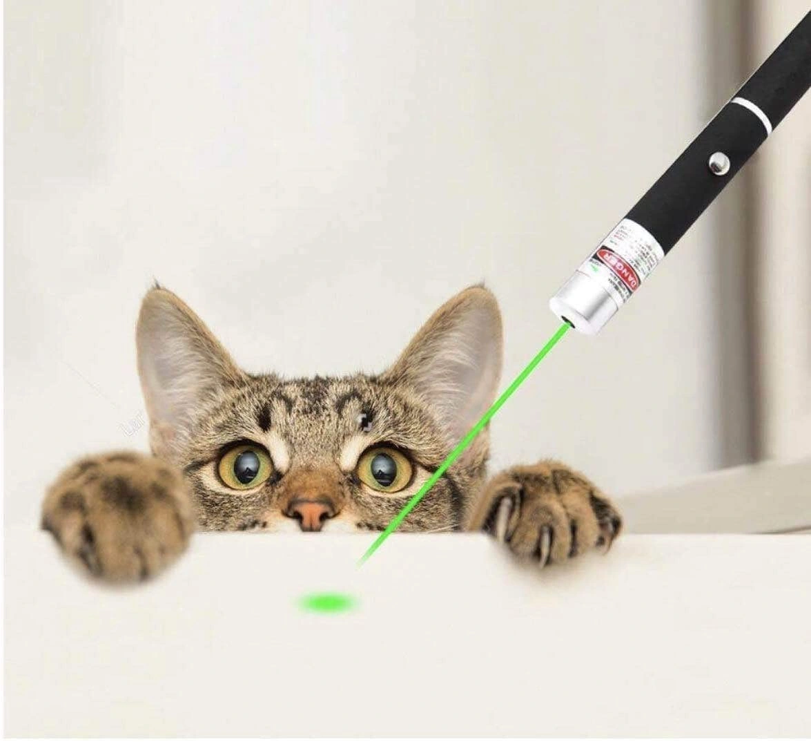 5 PCS Small Laser Pointer Pen 532nm Green Light Visible Beam 1mW For conference presentation view 8