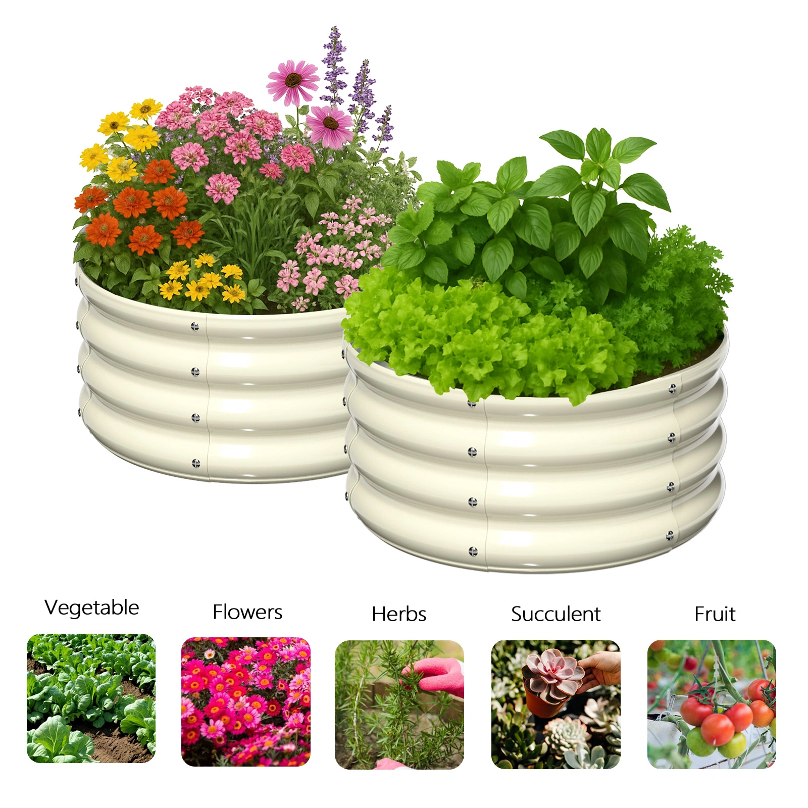 2 Pcs 2×2×1ft Raised Garden Bed, Round Galvanized Outdoor Planter Box, Metal Garden Bed for Planting Vegetables Fruits Flowers, White view 9