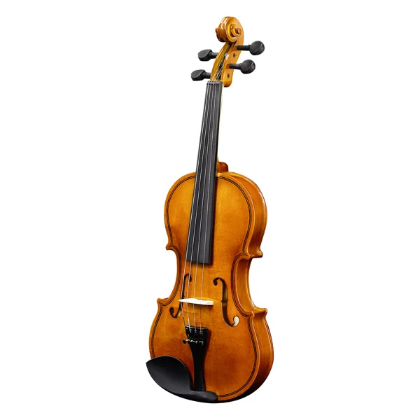 Brand new 1/2 acoustic violin with Hard Case,Violin Bow,Shoulder Rest,Rosin,Extra Strings and Sourdine view 2