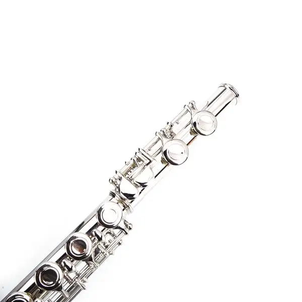 Nickel Plated C Closed Hole Concert Band Flute Silver view 2