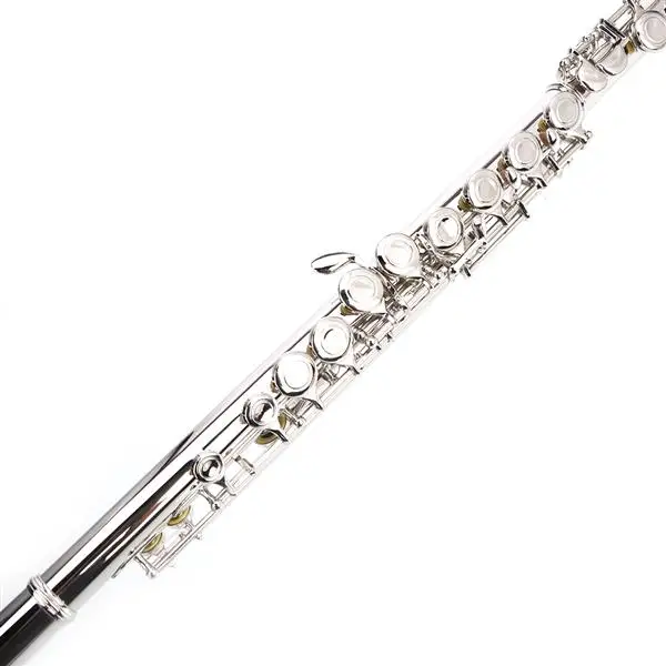 Nickel Plated C Closed Hole Concert Band Flute Silver view 3