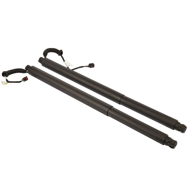 2Pcs Rear Left Right Power Lift Gate Cylinder Struts Fit for 2015-2019 Nissan Murano 3.5L view 4