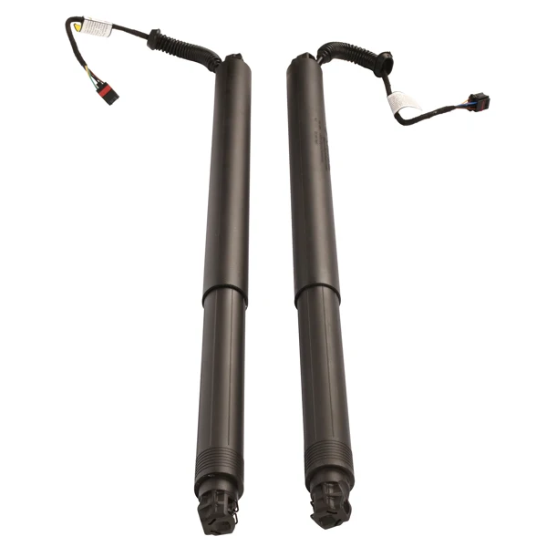 2Pcs Rear Left Right Power Lift Gate Cylinder Struts Fit for 2015-2019 Nissan Murano 3.5L view 5