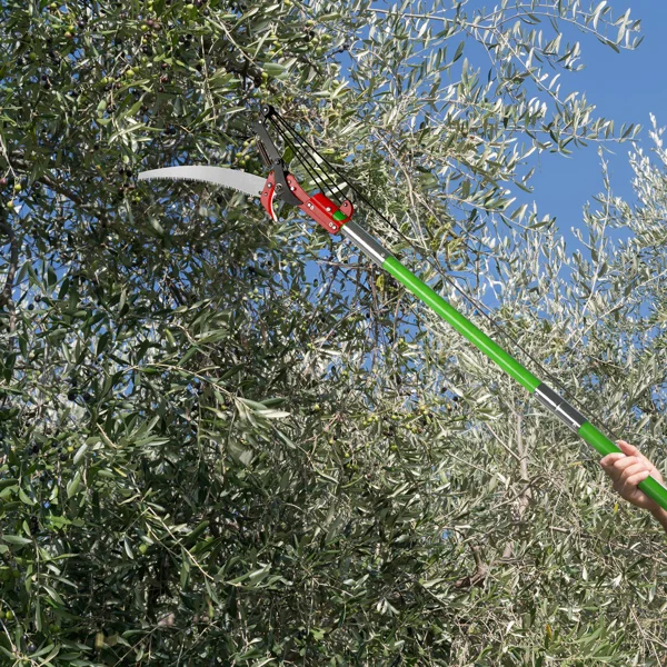 24ft Manual Pole Saw, Lightweight Tree Trimmers Long Handle Pruner Set, Sharp Steel Blade and Scissors Pole Saw for Trimming Palm, Pear Tree, Fir Tree, Other High Trees and Shrubs view 4