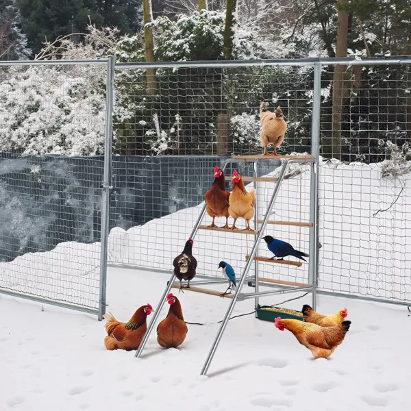 103*50*100cm Outdoor chicken perch view 3